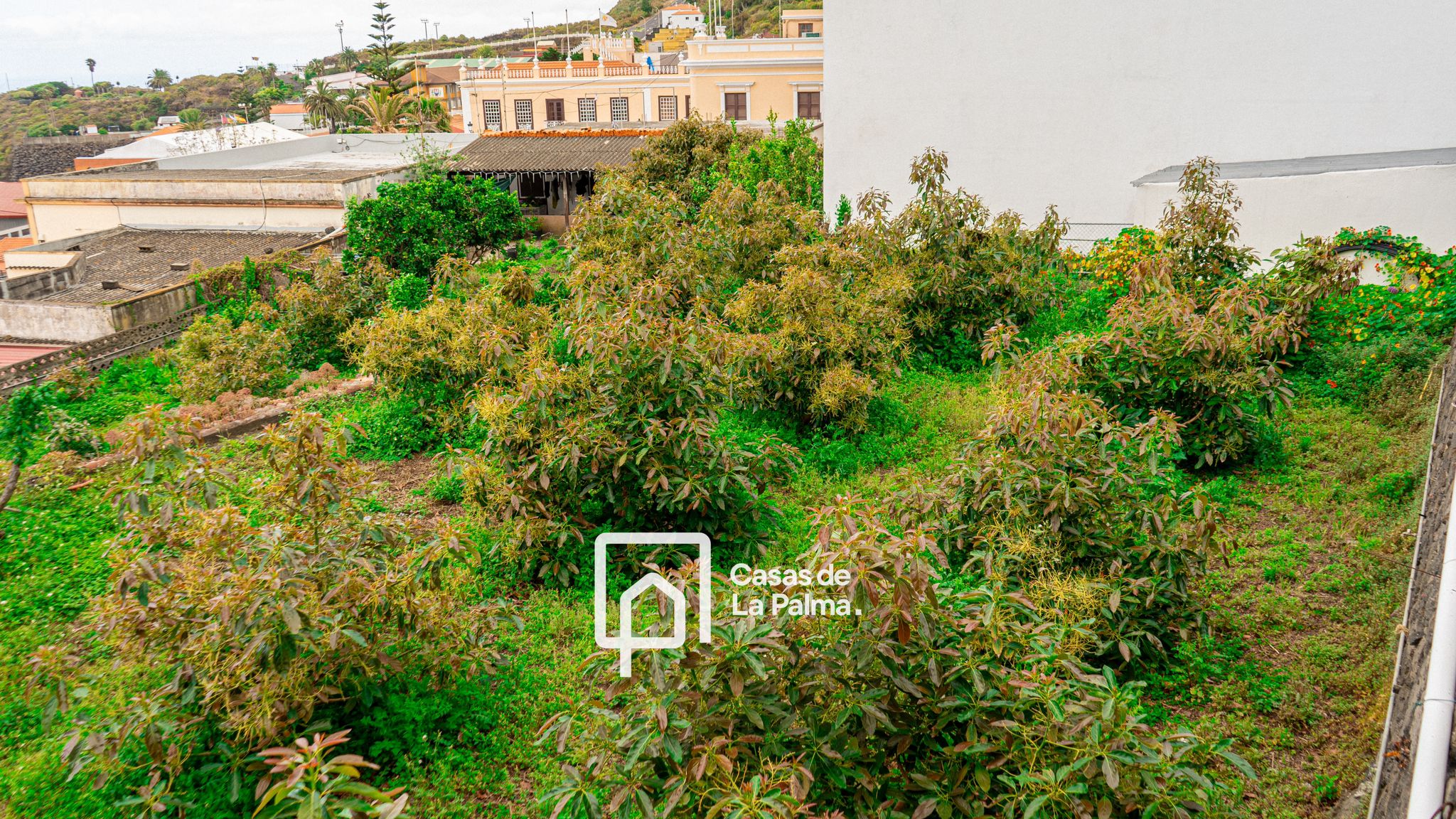 Vivienda de 179m2 + terreno de 973m2 - Imagen 5