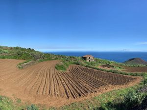 Finca rústica de 5.600m2