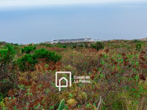 Terreno rústico de 1.585 m2