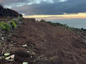 Terreno rústico de 4.500 m2